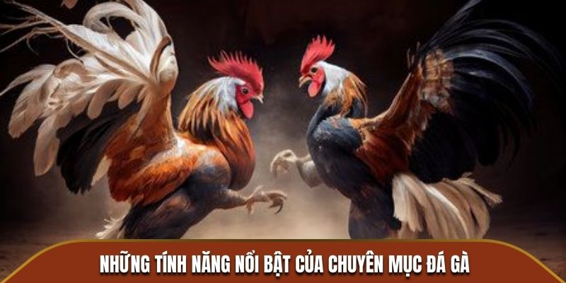 Những điểm mạnh nổi bật của đá gà J88