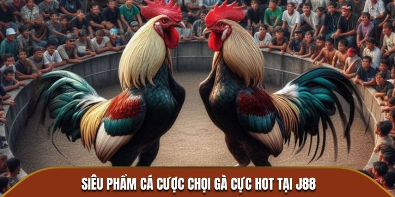 Siêu phẩm cá cược chọi gà cực hot tại J88