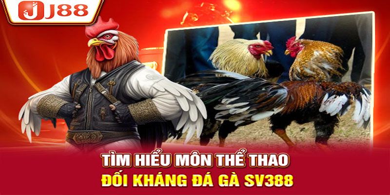 Một số thông tin cần biết về bộ môn đá gà tại SV388