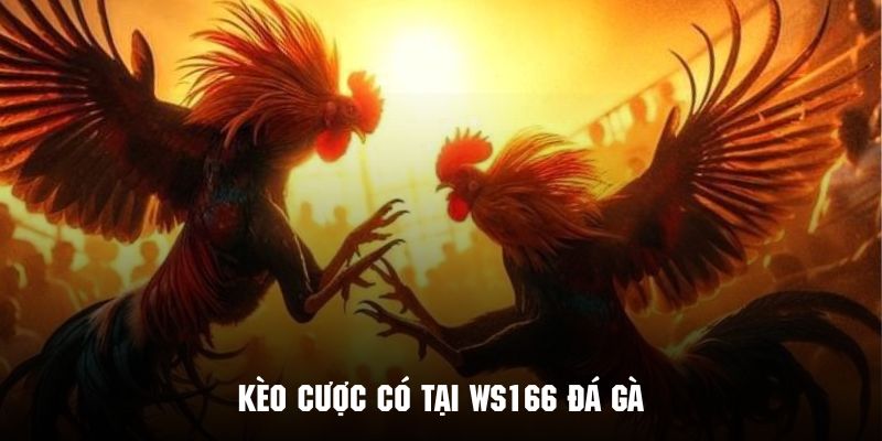 Khám phá những loại hình cá cược tại WS168 đá gà